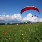 Atterrissage de deux parapentes dans un pré fleuri à Thollon-les-Mémises lors d’un vol d’initiation