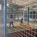 Piscine à boules pour jeunes enfants au Joy's Club, Portes de Genève
