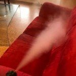 Traitement vapeur d’un canapé pour éliminer les punaises de lit dans un logement en Haute-Savoie
