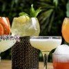 Sélection de cocktails servis au bar de La Table Ernesto