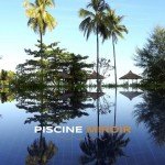 Construction d'une piscine miroir à Genève par La Compagnie du Bien-Être