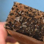 Œufs et traces d’infestation de punaises de lit sur un meuble nécessitant un traitement professionnel en Haute-Savoie