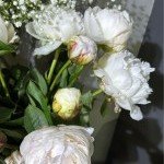 Bouquet élégant de fleurs blanches