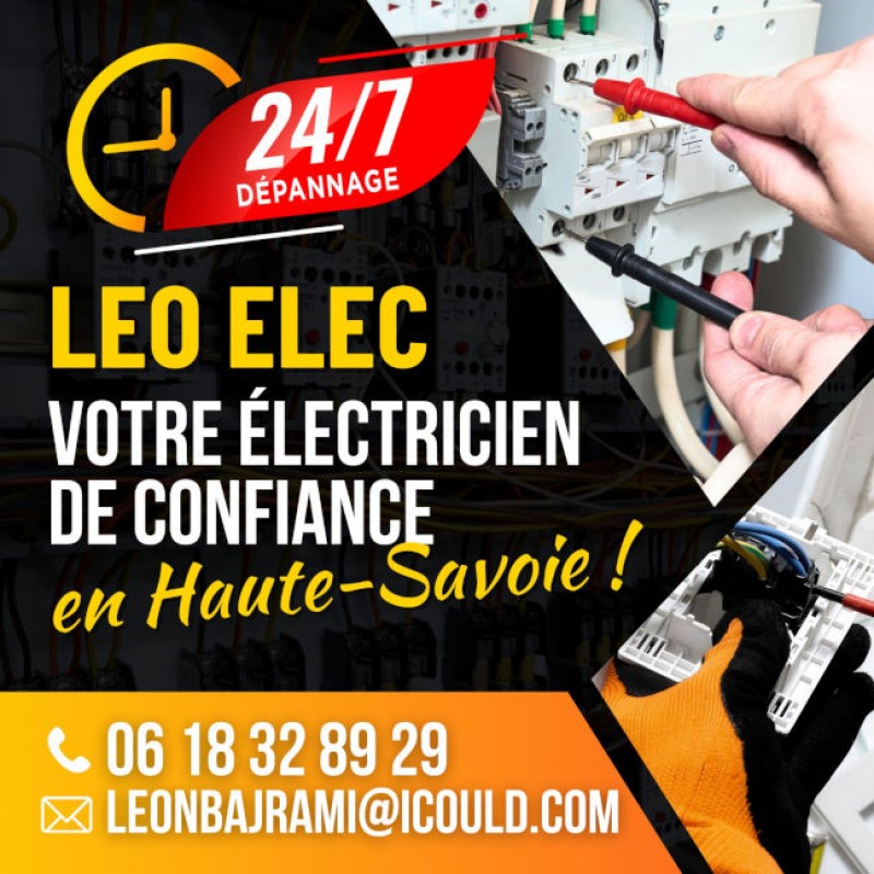 vignette photo - Leo Elec