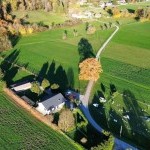 Propriété de la pension canine Dog Center Les Millières en Haute-Savoie (74)