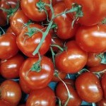 Tomates fraîches présentées dans le rayon fruits et légumes